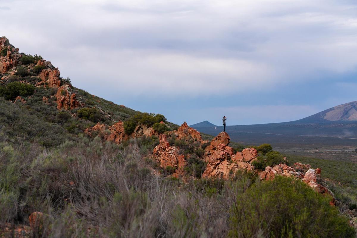 Вилла Gecko Rock Private Nature Reserve Goedgemoed Экстерьер фото